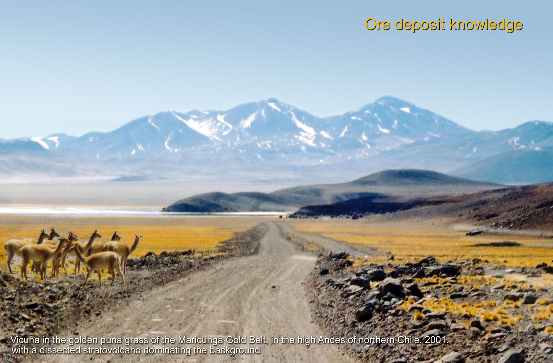 Ore deposit knowledge