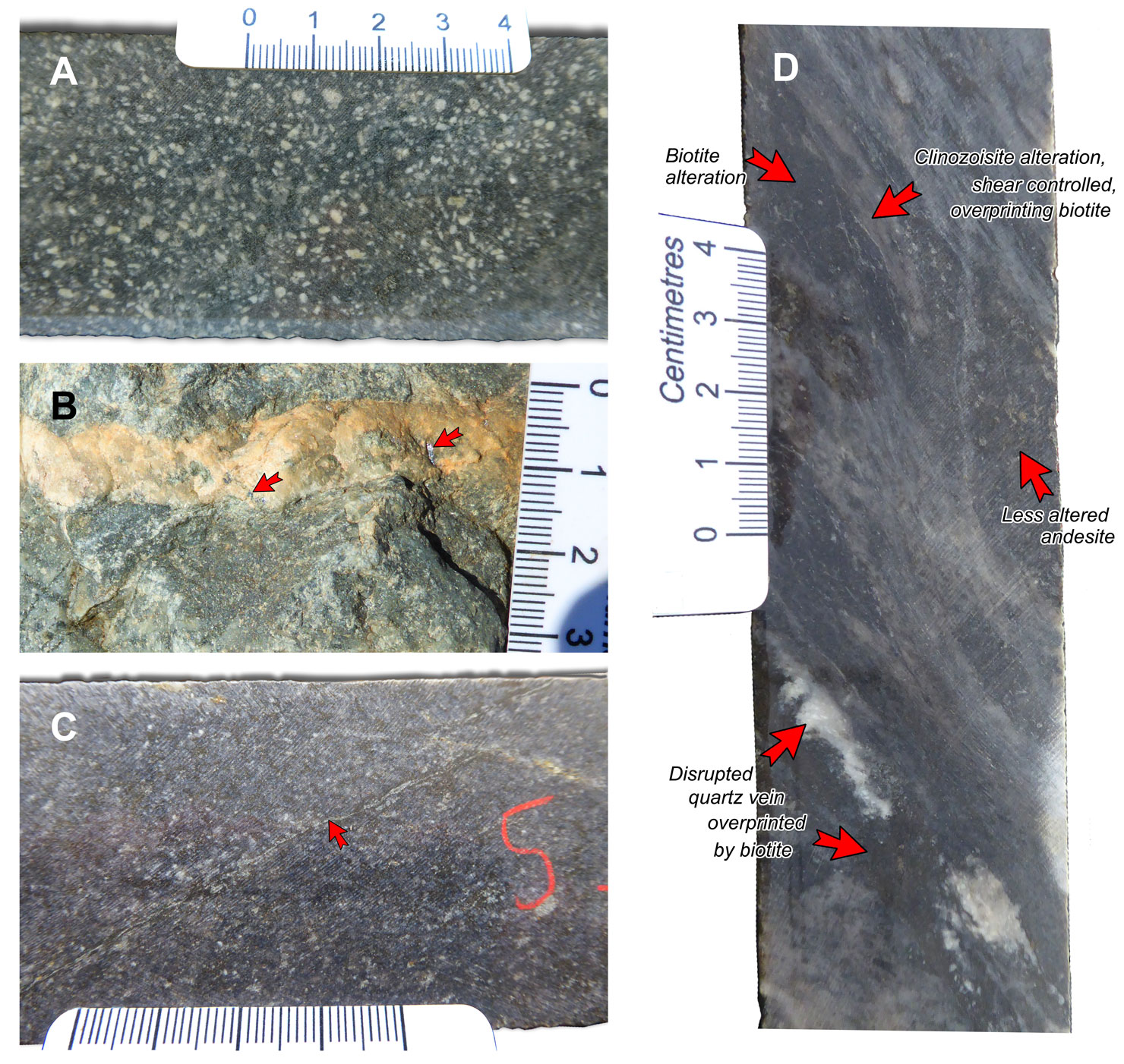 Boddington lithologies and mineralisation