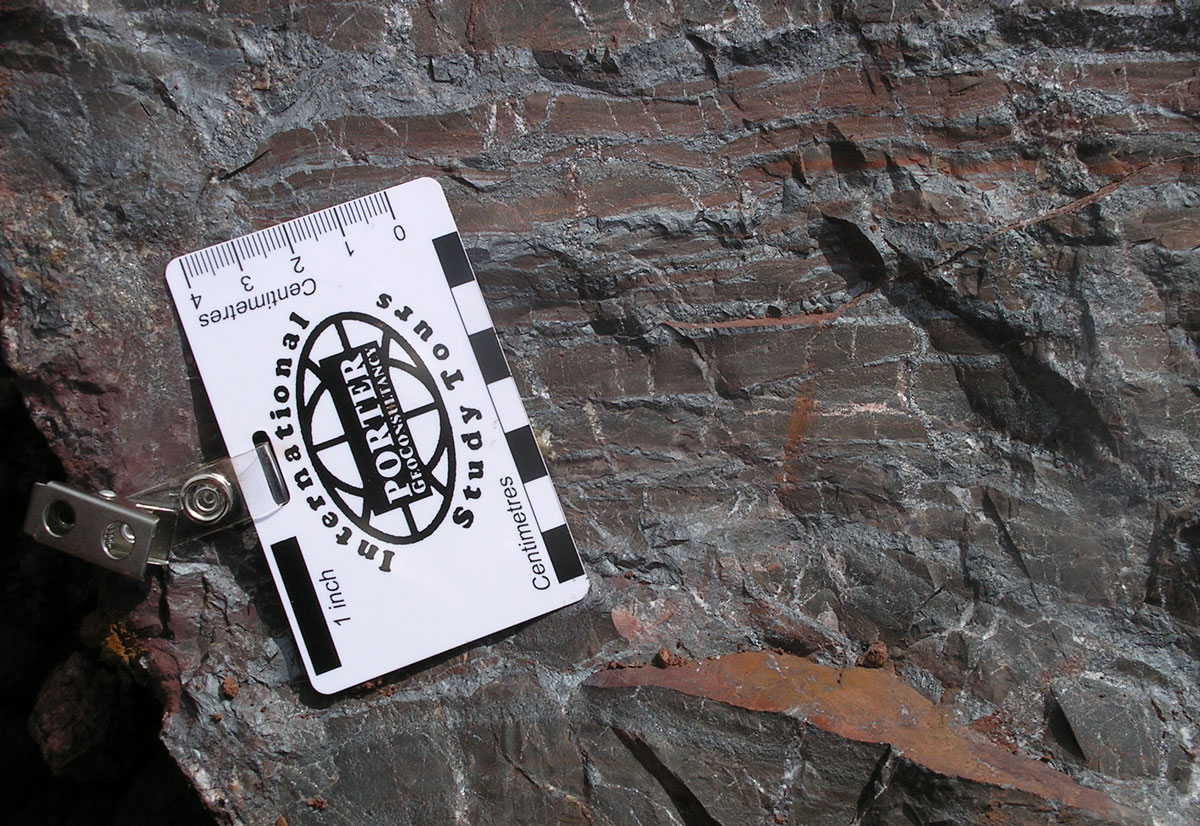 Carajas partially altered jaspilite