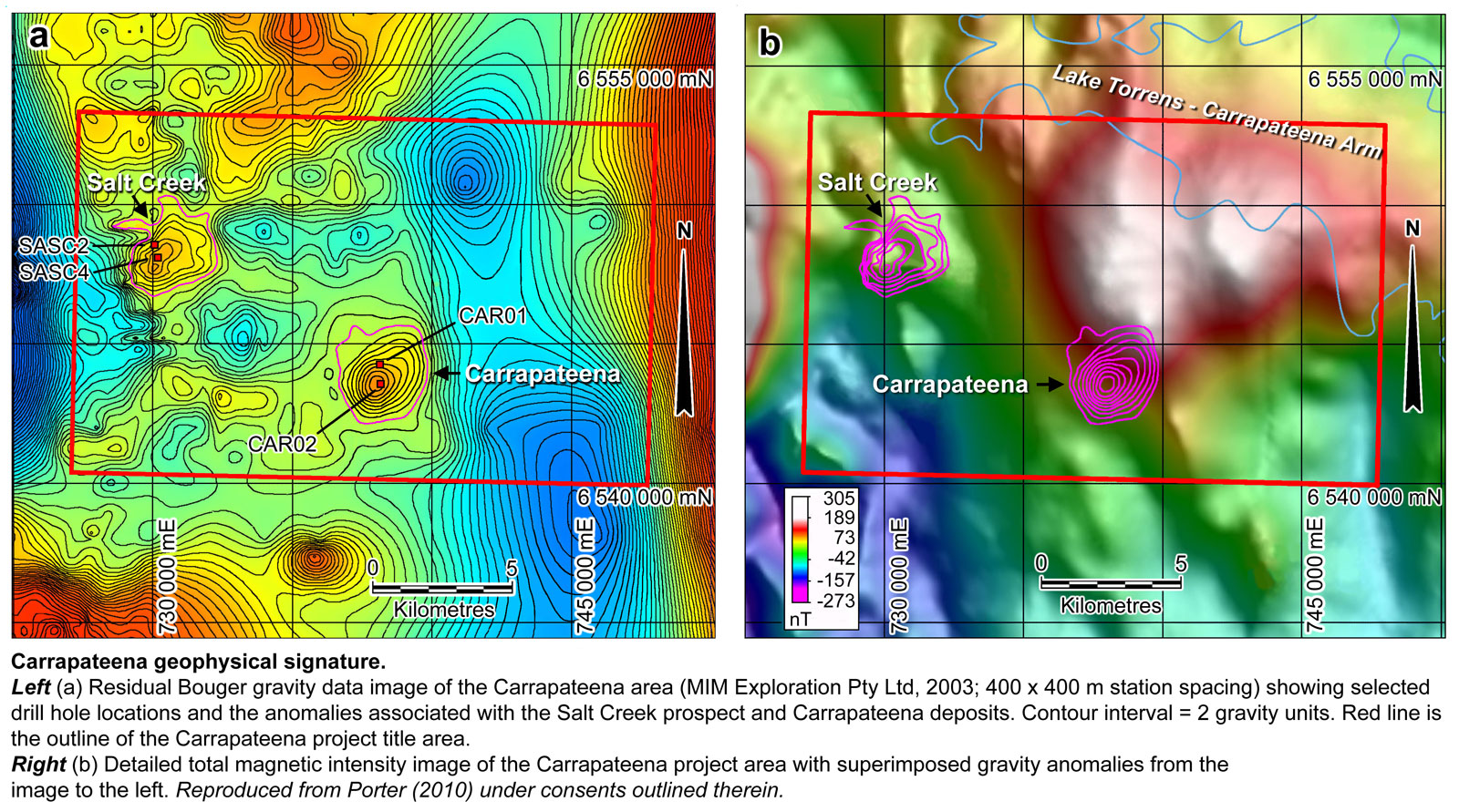 Carrapateena Gravity and Magnetics