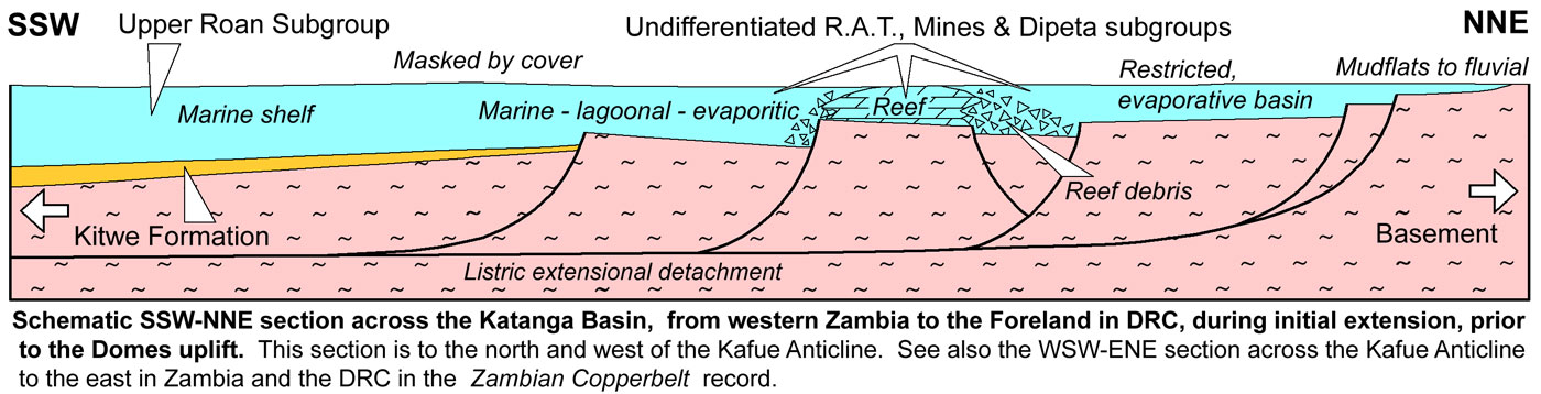 Roan cross section