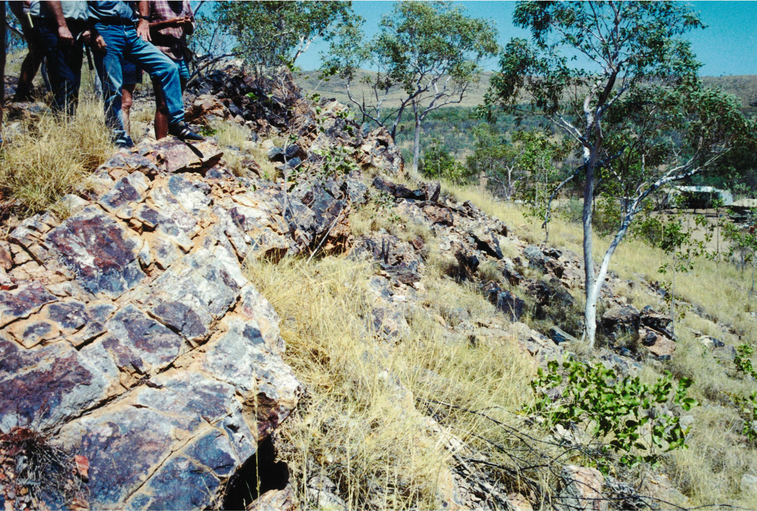 Century discovery outcrop