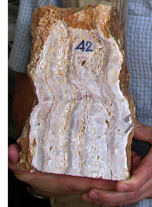 Chatree Oxide Texture