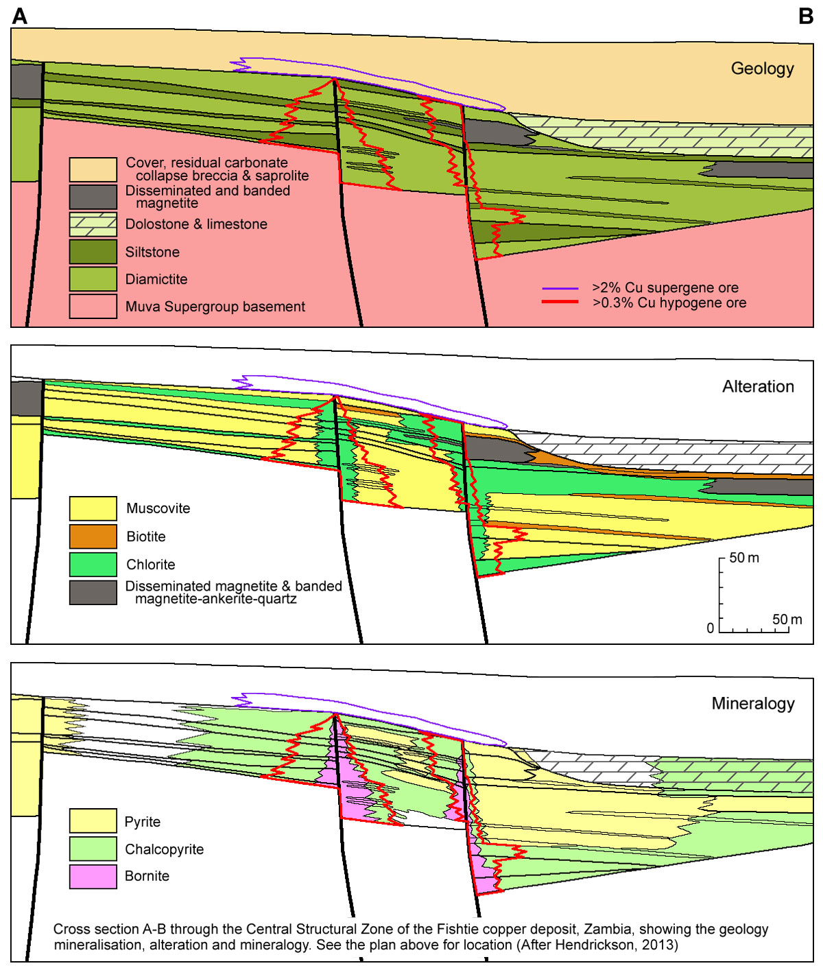 Fishtie cross section