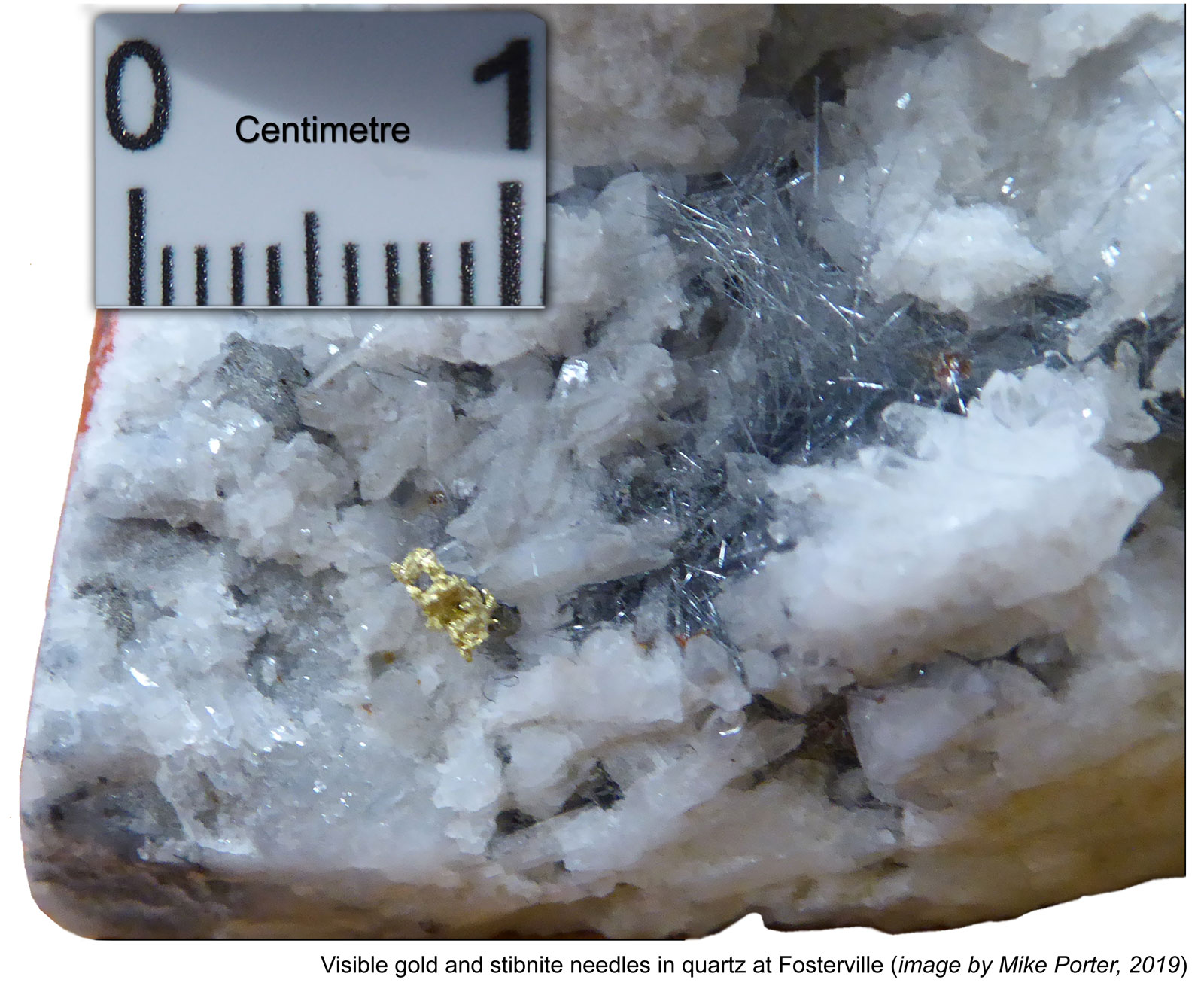 Fosterville visible gold in quartz