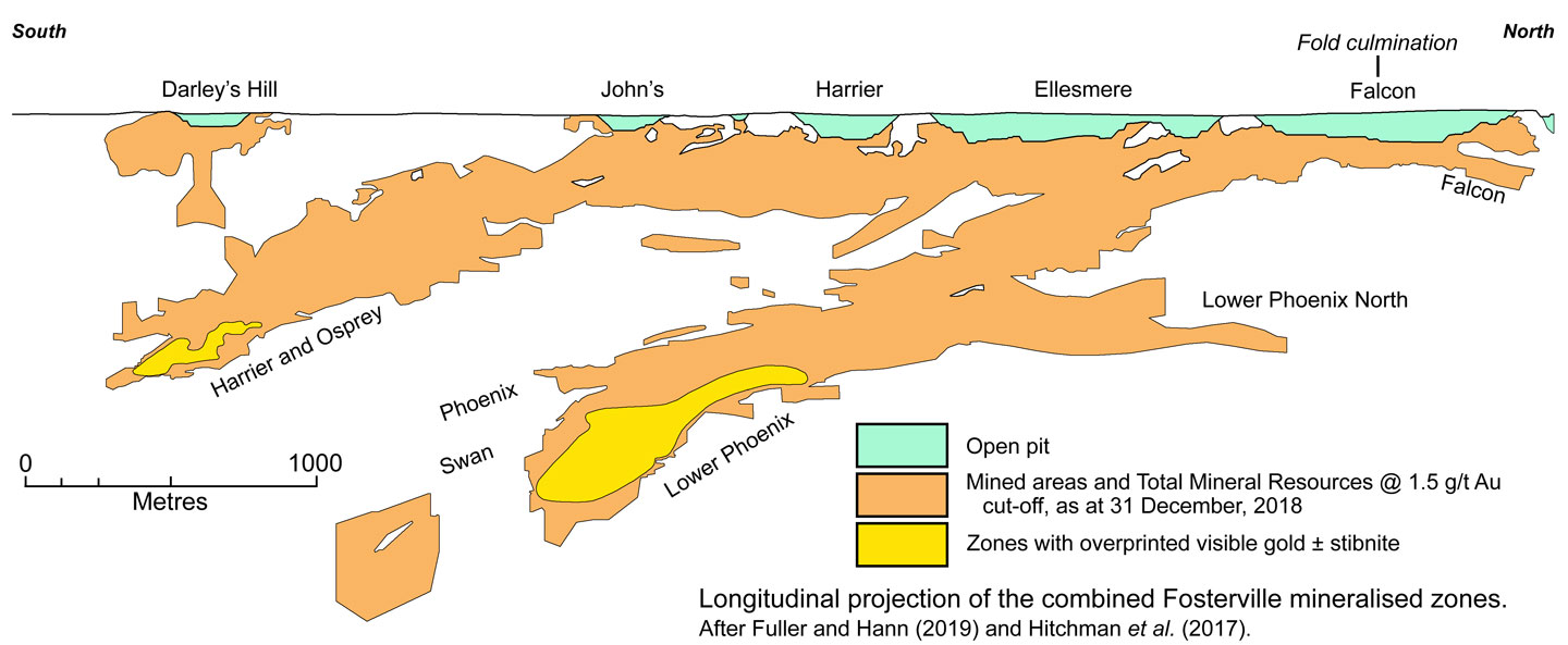 Fosterville longitudinal section