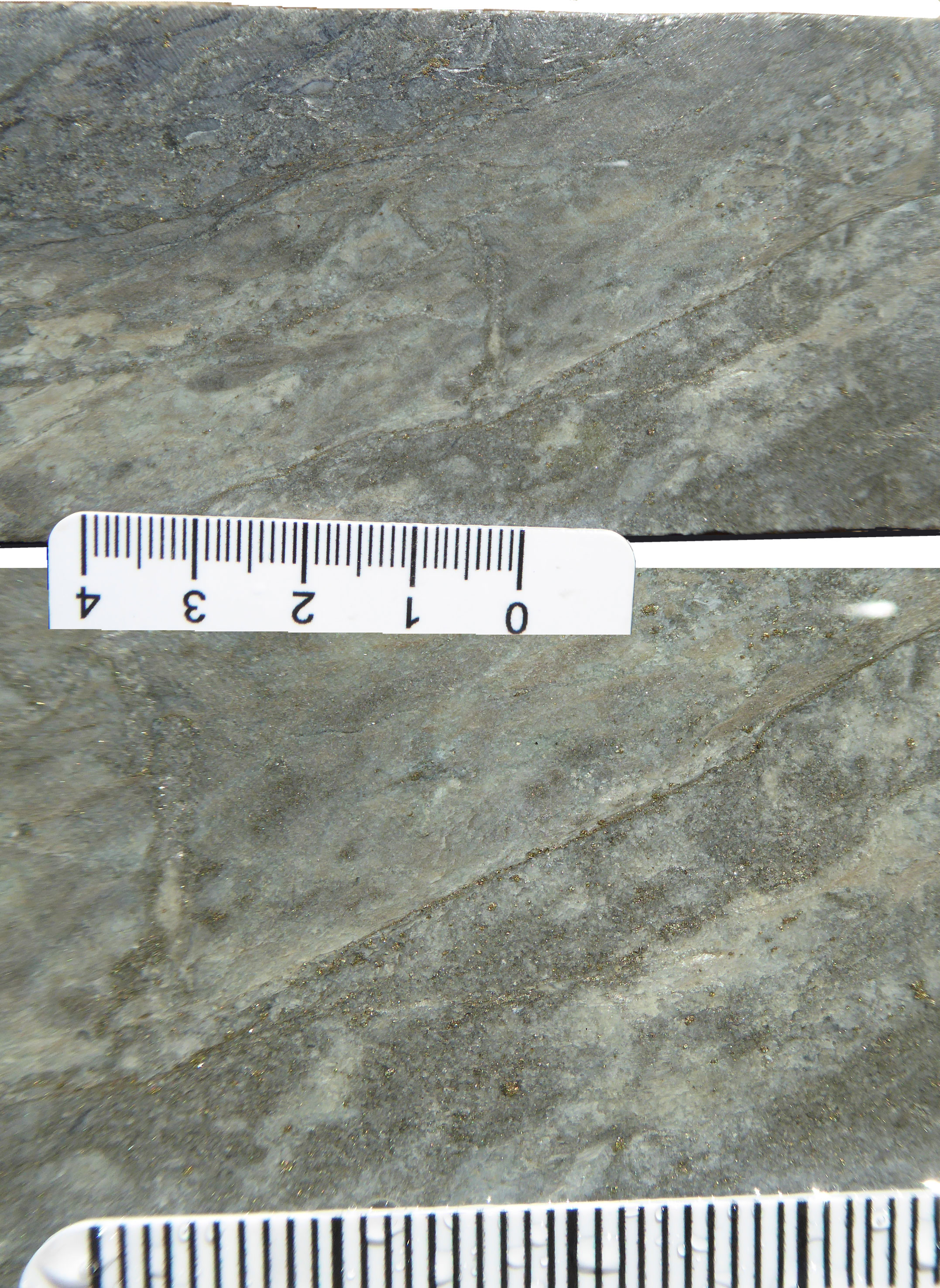 Fimiston Lode sheared