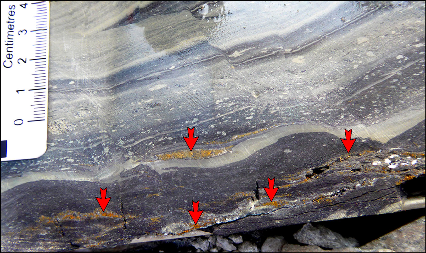 Tenke Fungurume lithologies