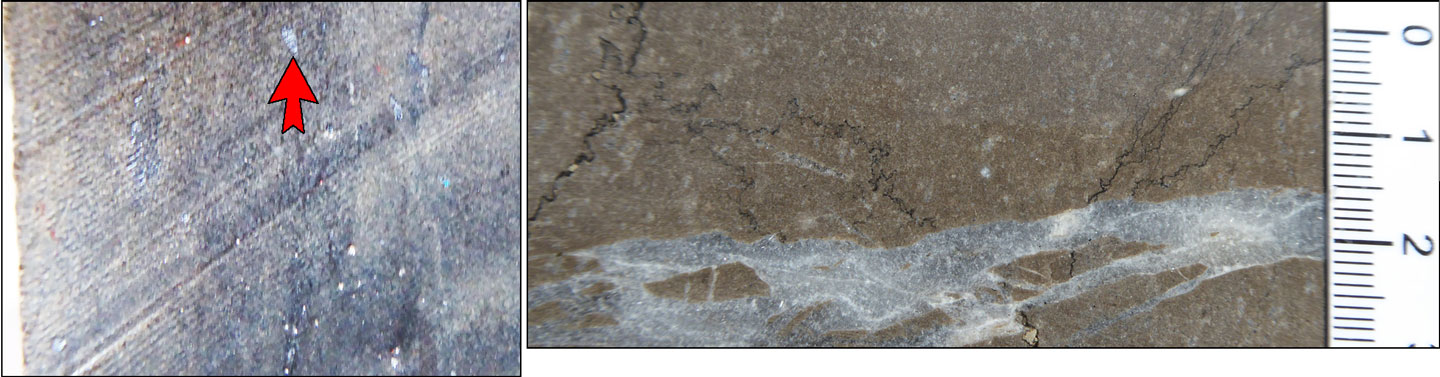 Kupferschiefer carbonate ore