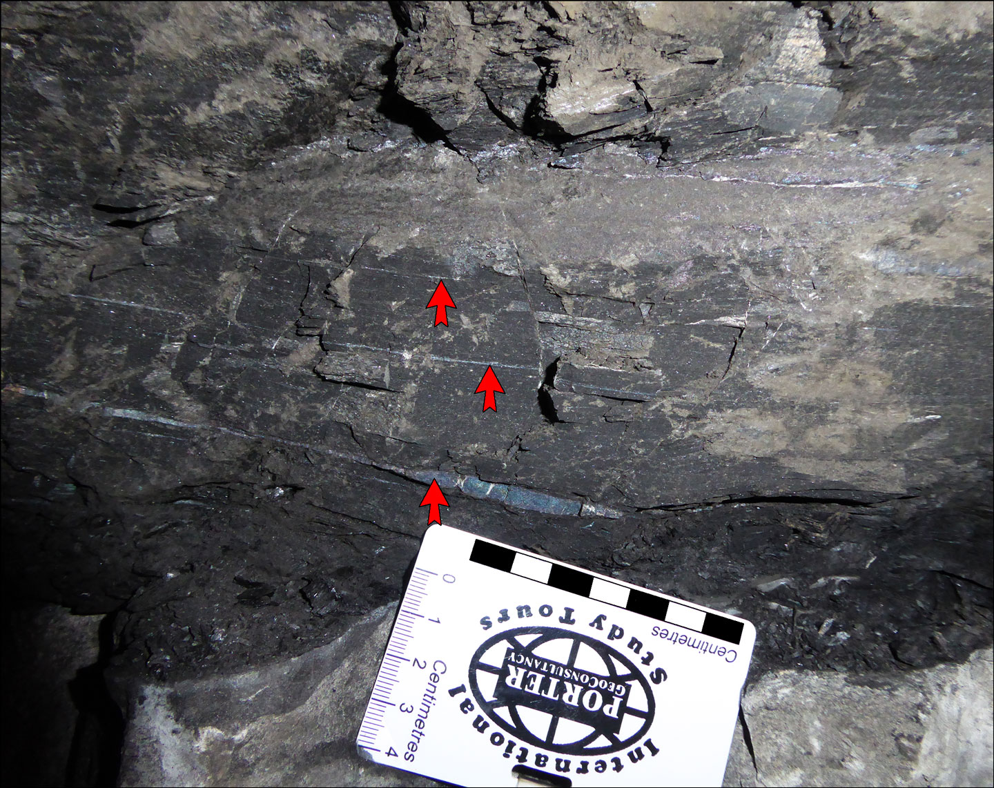 Kupferschiefer shale ore