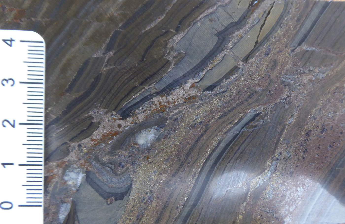 stratabound and crosscutting sulphide