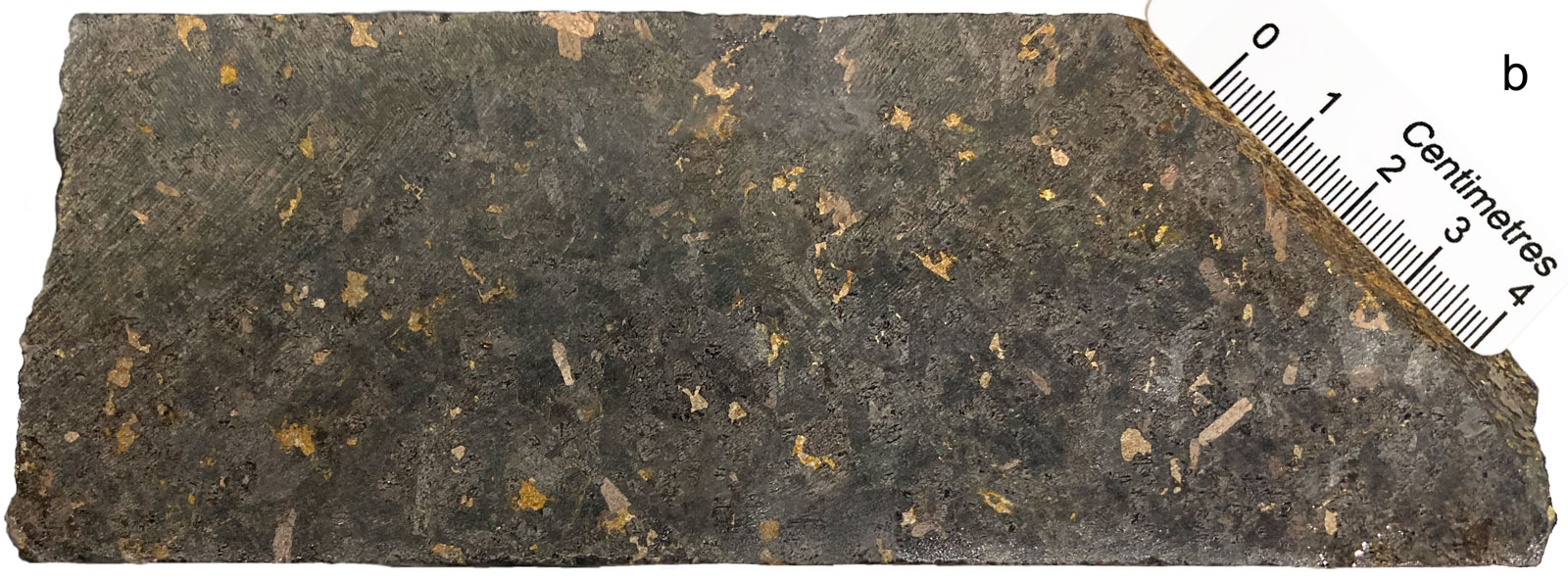 Dissemenated mineralisation in gabbronorite