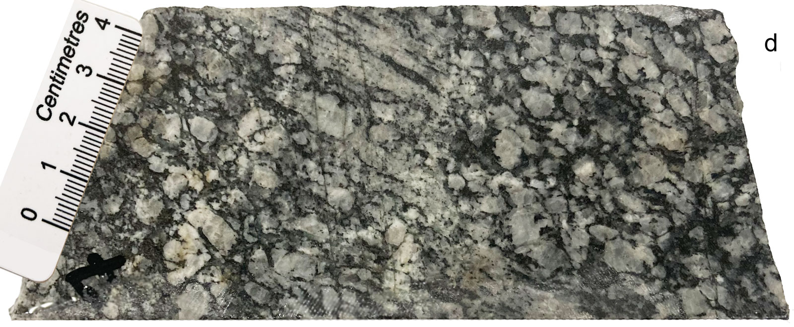 Barren orthogneiss country rock