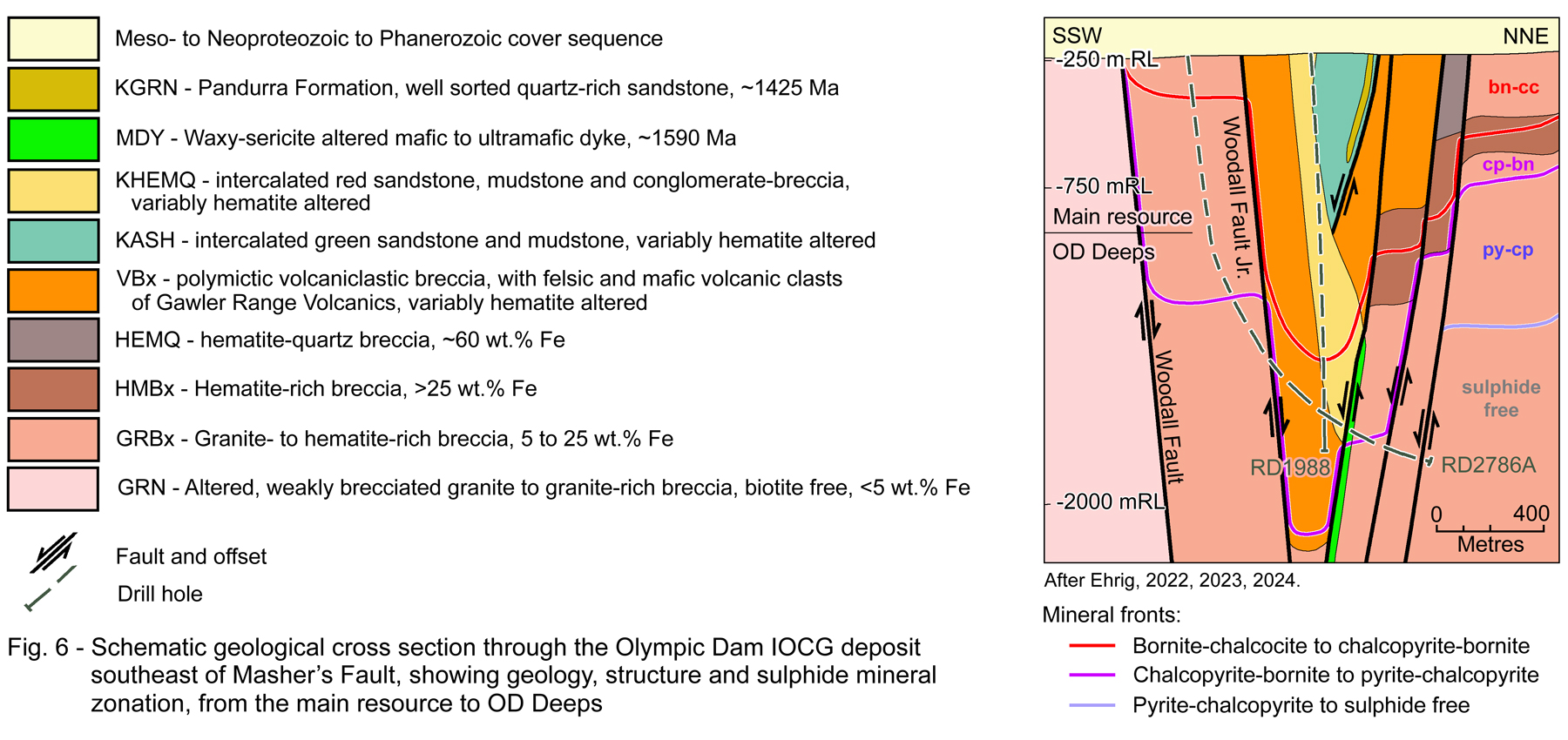 Section showing structure and mineral zonation SE of Mashers Fault