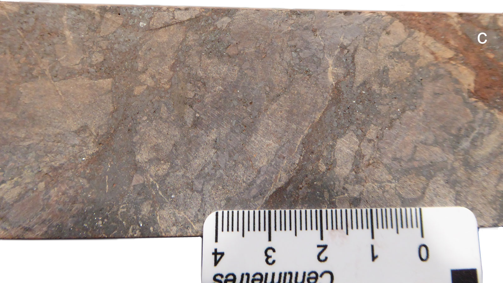 Prominent Hill fined grained protolithic sedimentary sandstone breccia