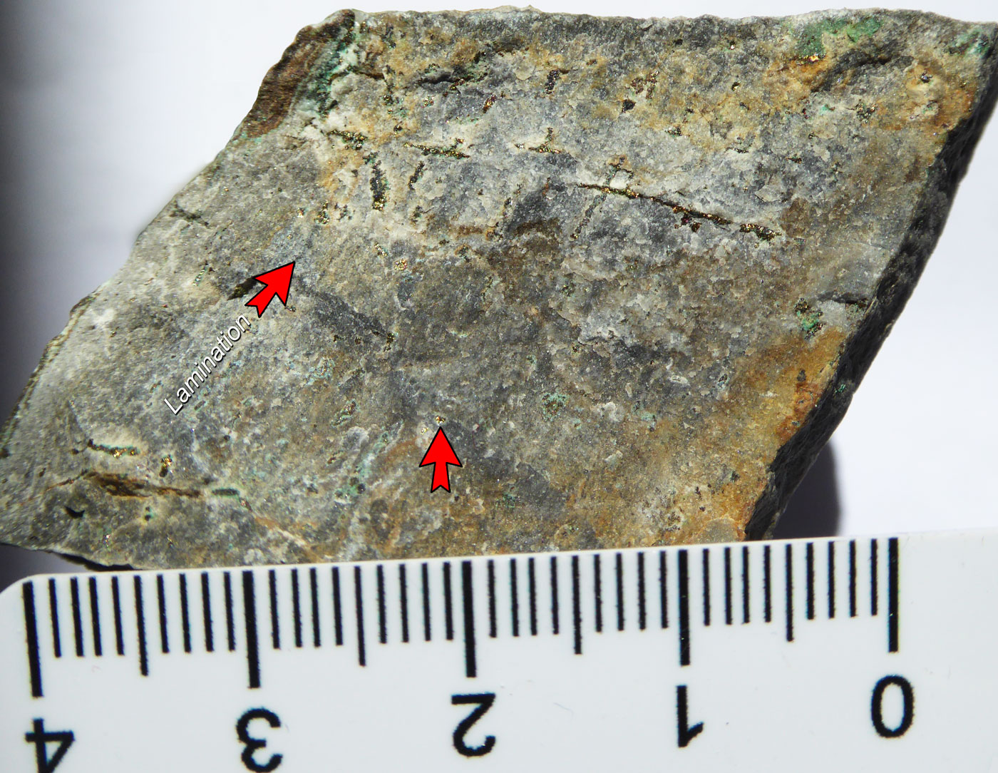 Microbially laminated B1 bed - fresh