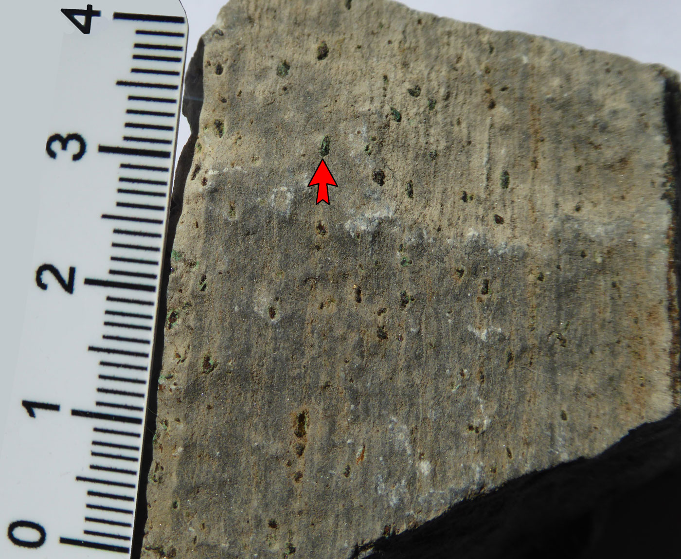 Microbially laminated B1 bed - weathered