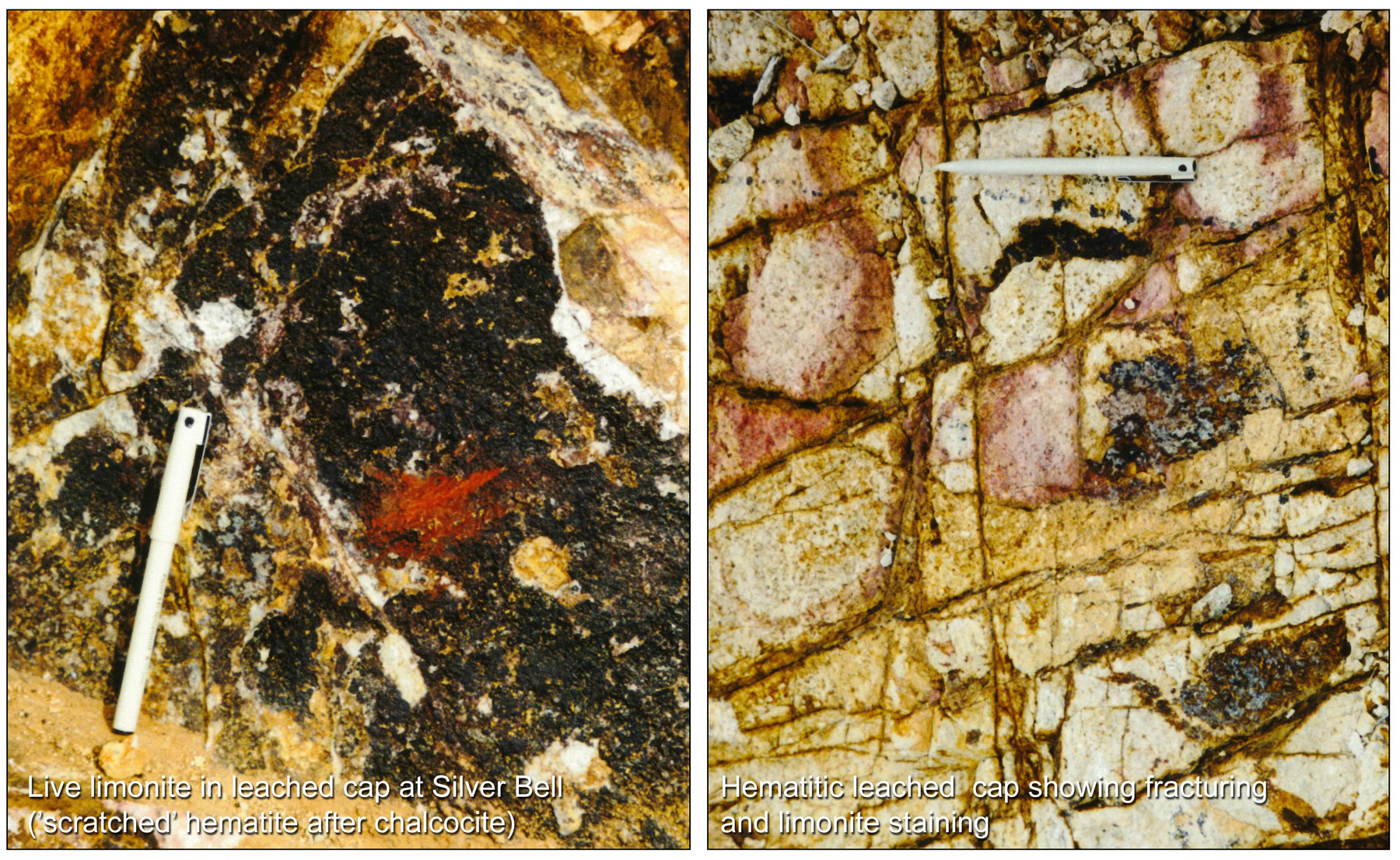 Silver Bell leached cap