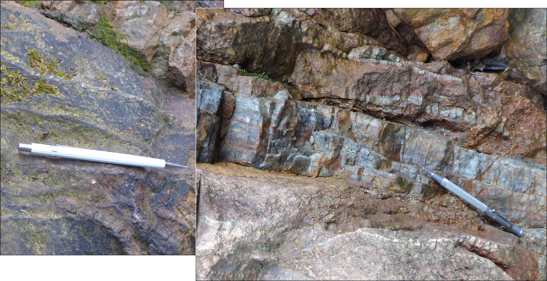 [Exposed veining Alpala]