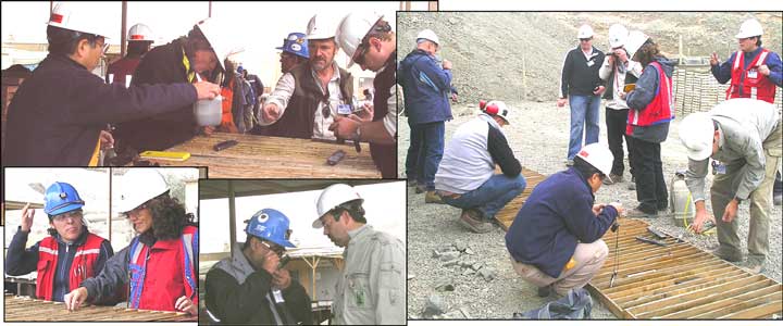 Candelaria Drill Core