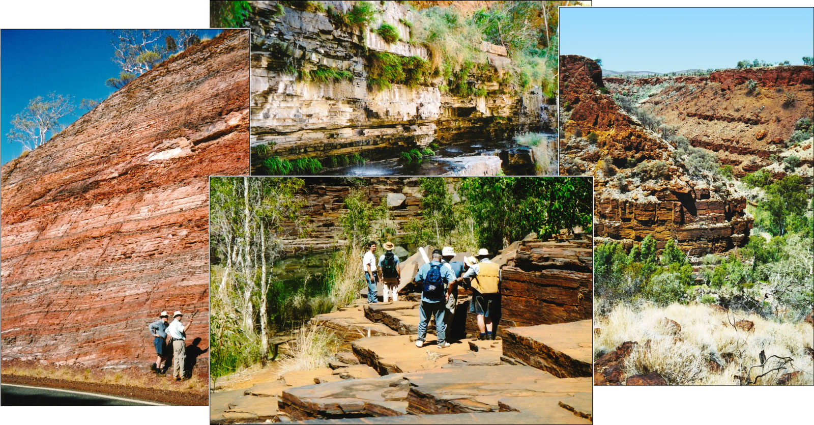 Field workshop Day 1