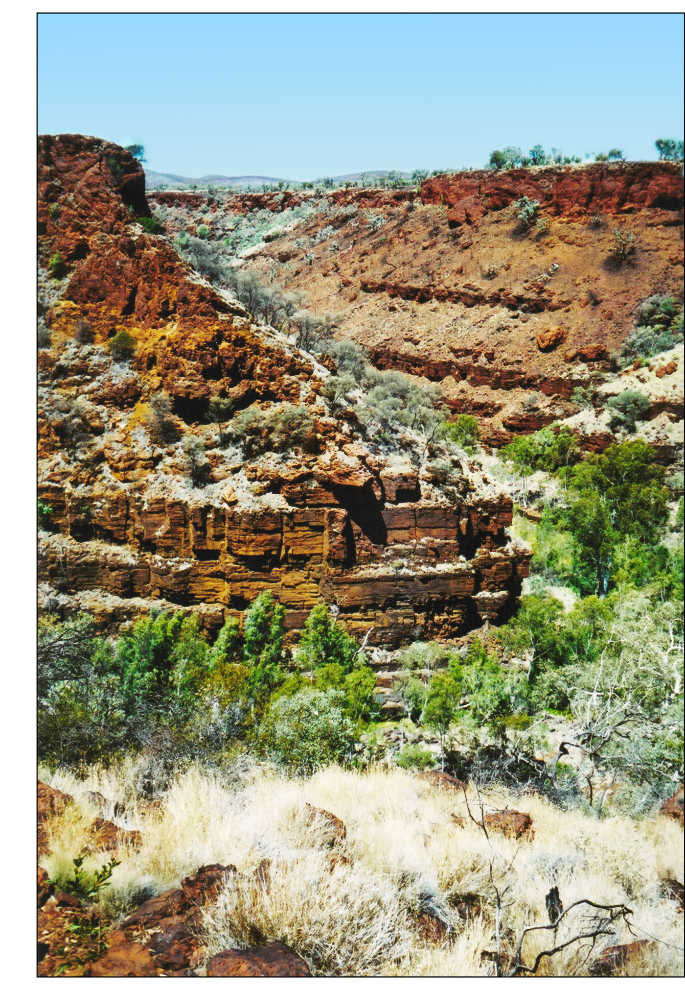 Iron formation in the field