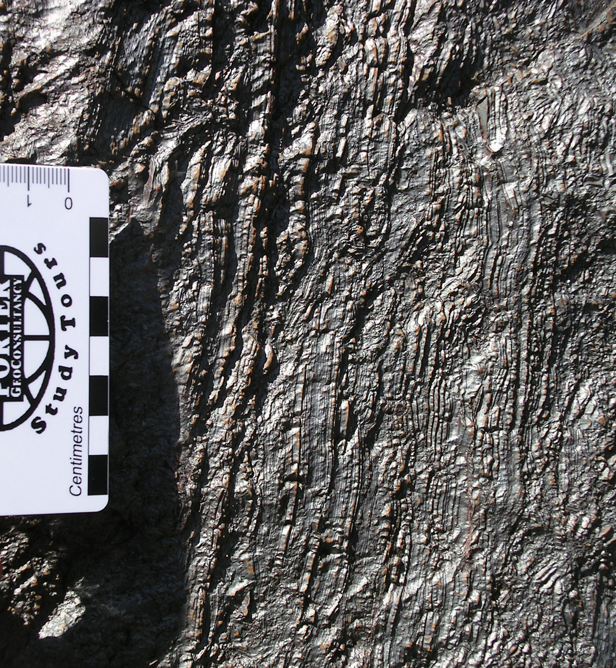 Laminated Manganore iron formation hematite at Khumani