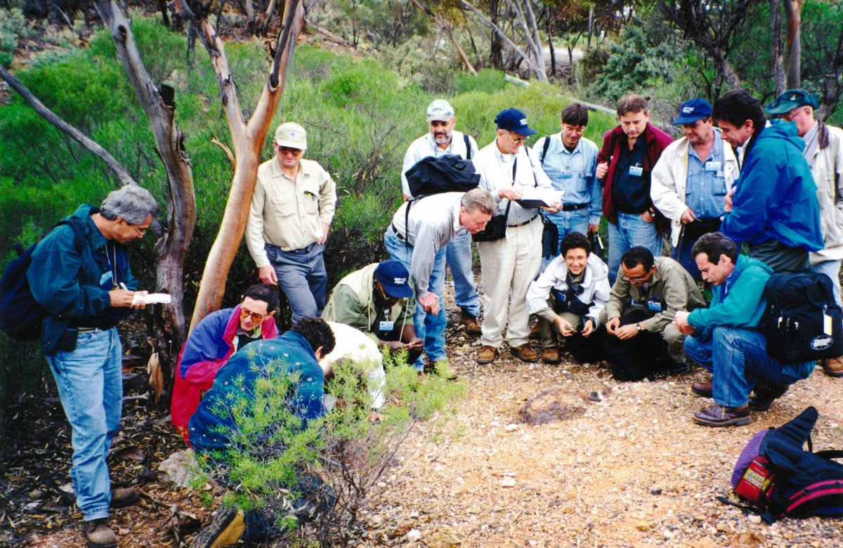 Kambalda discovery gossan