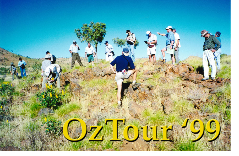 In the bush in the Mt Isa Block