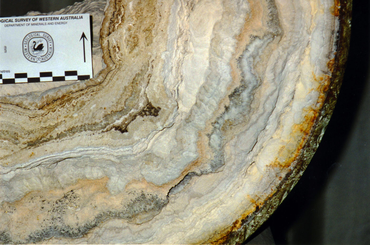 Banded Ore Grade Gold in Scale in Geothermal Power Station Pipies